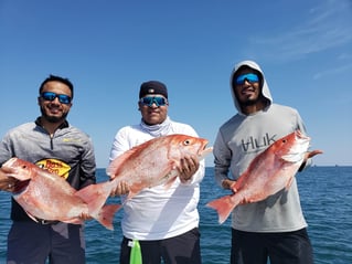 Red Snapper Fishing in Port Isabel, Texas