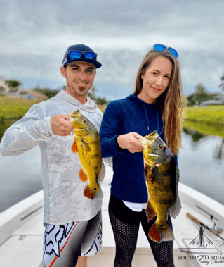 Canal Fishing for Peacock Bass