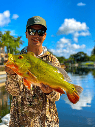 Canal Fishing for Peacock Bass