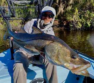 Snook Fishing in Placida, Florida