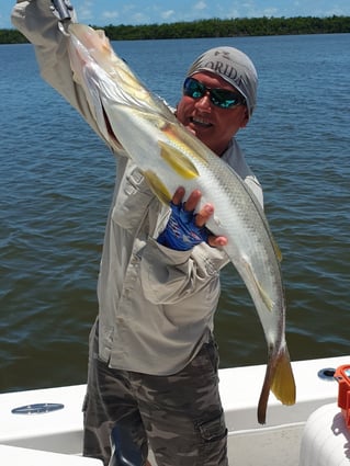 Snook Fishing in Chokoloskee, Florida