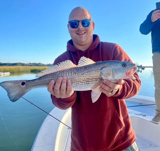 Seasonal Inshore Action