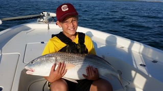 South Carolina Redfish on the Fly