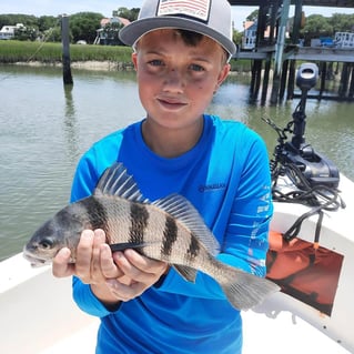 Black Drum Fishing in Folly Beach, South Carolina