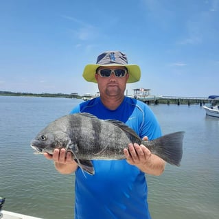 Black Drum Fishing in Folly Beach, South Carolina