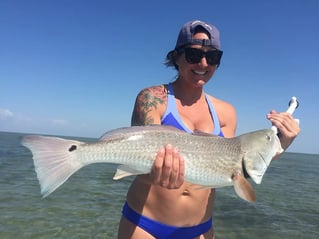 Redfish Fishing in Rio Hondo, Texas