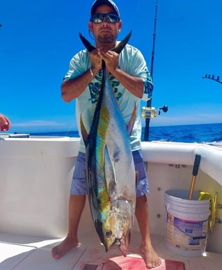 Cabo Trophy Hunt - 28' Cuddy Cabin