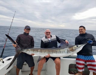 Cabo Trophy Hunt - 28' Cuddy Cabin