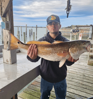 Galveston Inshore Classic