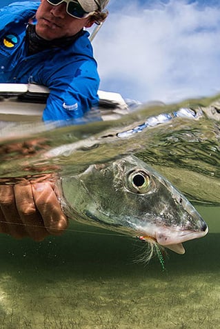 Eleuthera Bonefishing Adventure