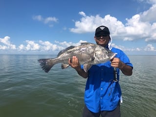 Matagorda Slam - 24' Trans Cat