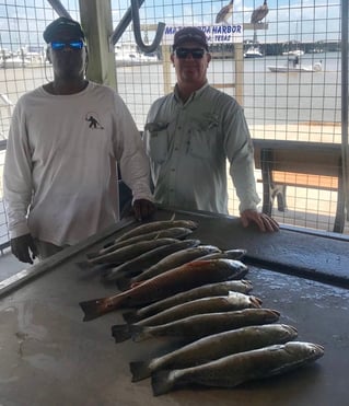 The "Big Three" in Matagorda