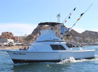 Cabo Offshore Drag-Ripper