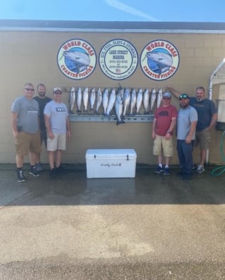 Luxury Lake Michigan Trout & Salmon