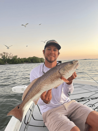 Sunny Fishing on Tampa Bay