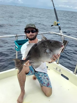 Orange Beach Trolling and Reefing