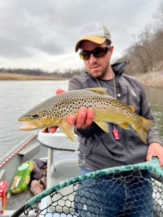 Tailwater Trout