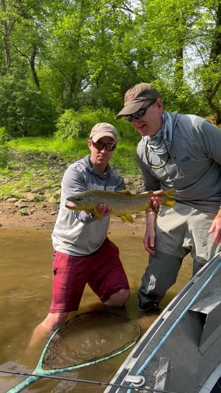 Tailwater Trout