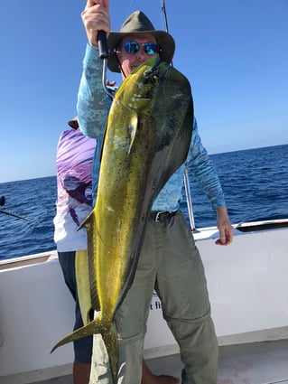 Classic Cabo Sportfish Trip