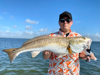 Targeting Big Reds, Trout, Flounder and Black Drum!