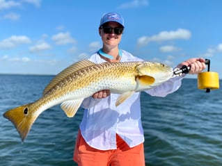 Targeting Big Reds, Trout, Flounder and Black Drum!