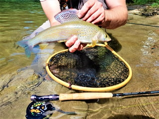 Fly Fishing the South of France