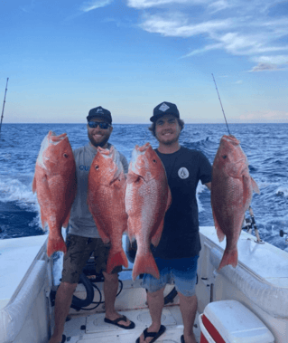 Gulfstream Trolling & Bottom Fish