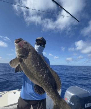 Gulfstream Trolling & Bottom Fish