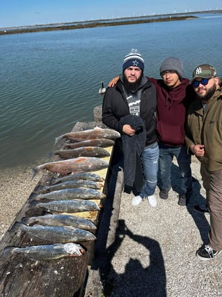 Nueces Bay "Texas Trio"