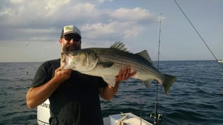 Chatham Inshore Fishing Trip