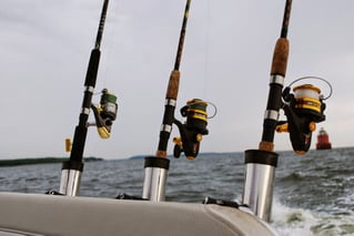 Chatham Inshore Fishing Trip