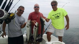 Chatham Inshore Fishing Trip