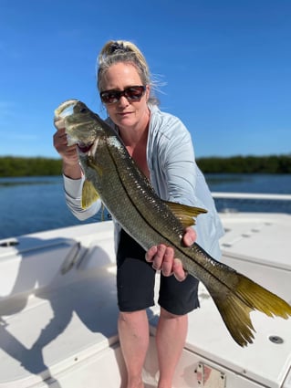 Nighttime Snapper, Snook, Tarpon