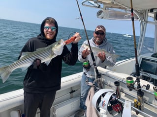 Cape Cod Bay Bass and Bluefish trip