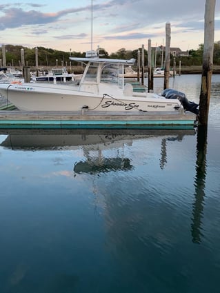 Cape Cod Bay Bass and Bluefish trip