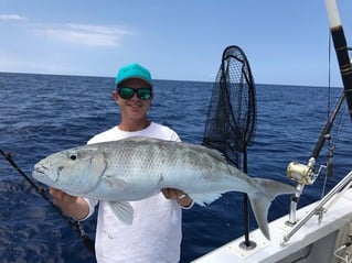 Kona Big Game Fishing - 31' Bertram