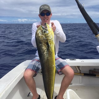 Kona Big Game Fishing - 31' Bertram