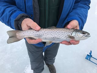 Elk Rapids Ice Fishing Adventure