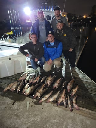 Lake Erie Walleye Roundup