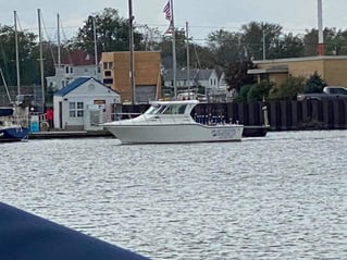 Lake Erie Walleye Roundup