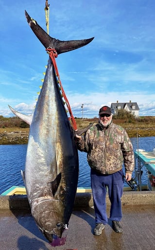 Yellowfin Tuna Fishing in Canso, Canada