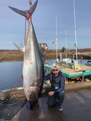 Yellowfin Tuna Fishing in Canso, Canada