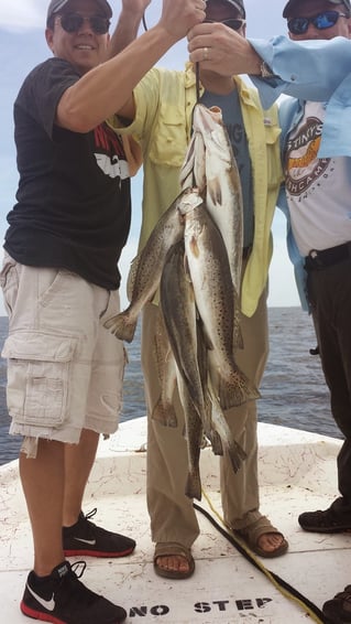 Speckled Trout Fishing in Gulf Shores, Alabama