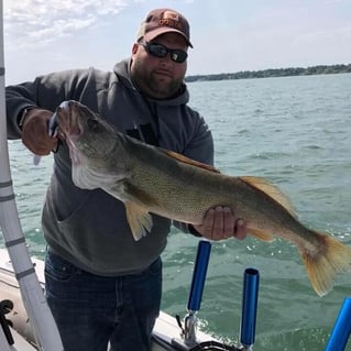 Lake Erie Walleye Roundup