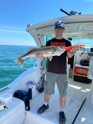 Lake Erie Walleye Roundup