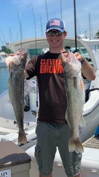 Lake Erie Walleye Roundup