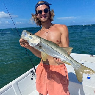 Snook Fishing in Jupiter, Florida