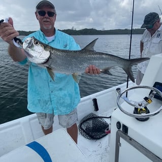 Tarpon Fishing in Jupiter, Florida