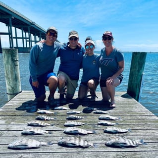 Sheepshead Fishing in Manteo, North Carolina