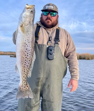 Speckled Trout Fishing in Manteo, North Carolina